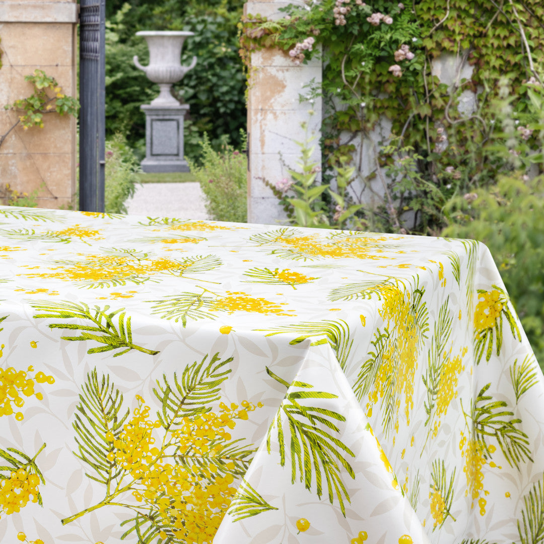Mimosa Sunshine – Vaxduk med blommor, 160 cm, miljö