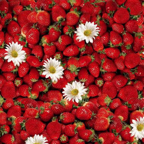 Närbild av Svensk sommer - Vaxduk med jordgubbar och prästkragar