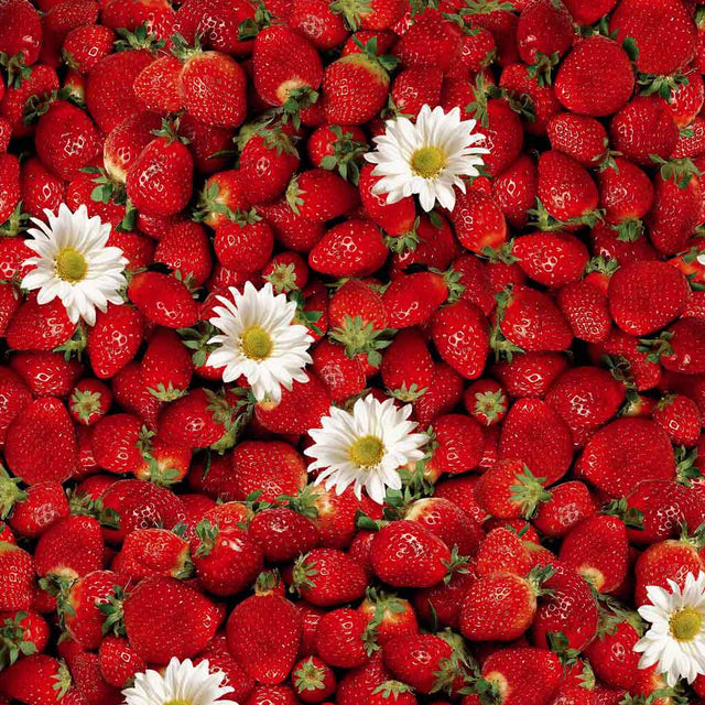 Närbild av Svensk sommer - Vaxduk med jordgubbar och prästkragar