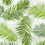 Feuilles Green - Vaxduk med vackra gröna palmblad